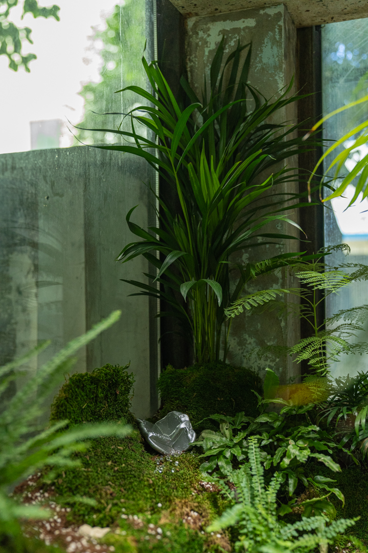 The Silver Singularity installation view