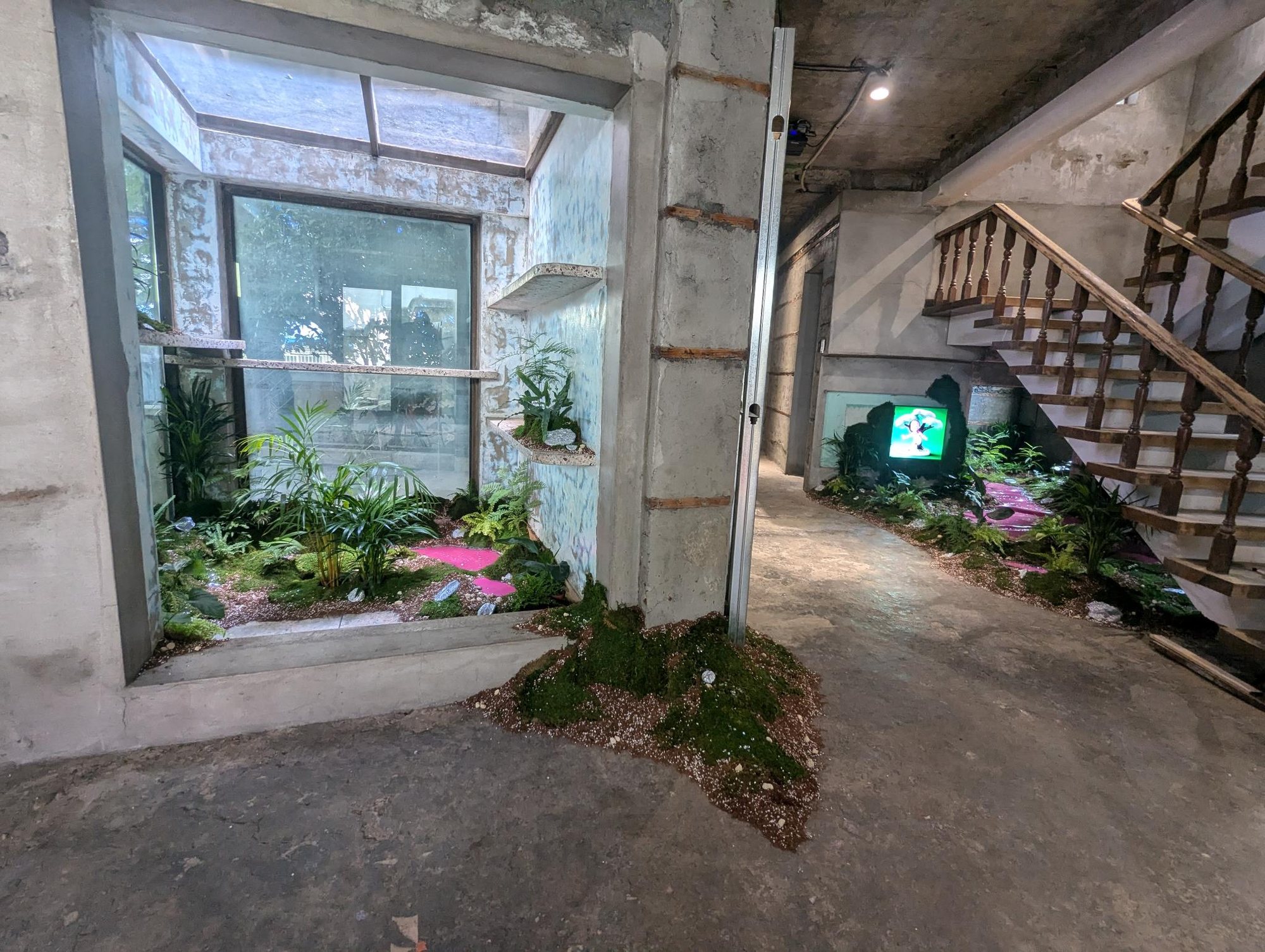 Installation, phone photograph