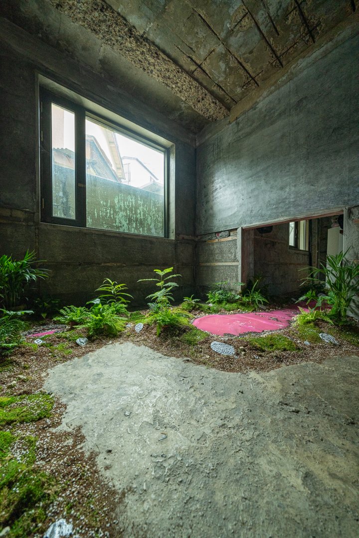 Installation view by window